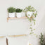 Væghængt Reol Naturfarvet 62 x 10 x 12,5 cm Massiv valnøddetræ