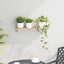 Væghængt Reol Naturfarvet 62 x 10 x 12,5 cm Massiv valnøddetræ