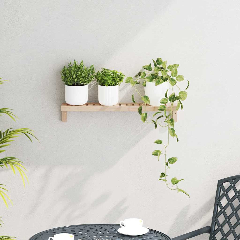 Væghængt Reol Naturfarvet 62 x 10 x 12,5 cm Massiv valnøddetræ