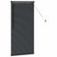 Persienner Sort 60 x 2,5 x 130 cm Aluminium
