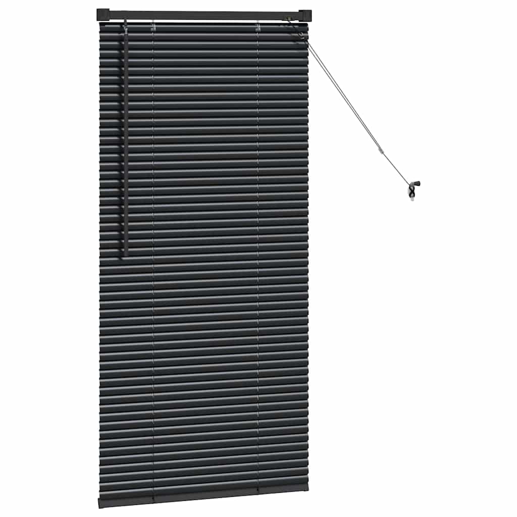 Persienner Sort 60 x 2,5 x 130 cm Aluminium