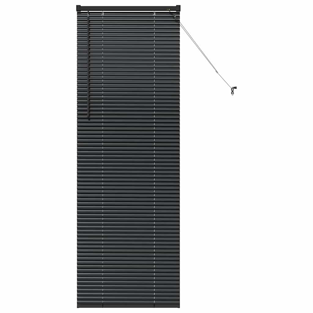 Persienner Sort 175 x 65 cm Aluminium