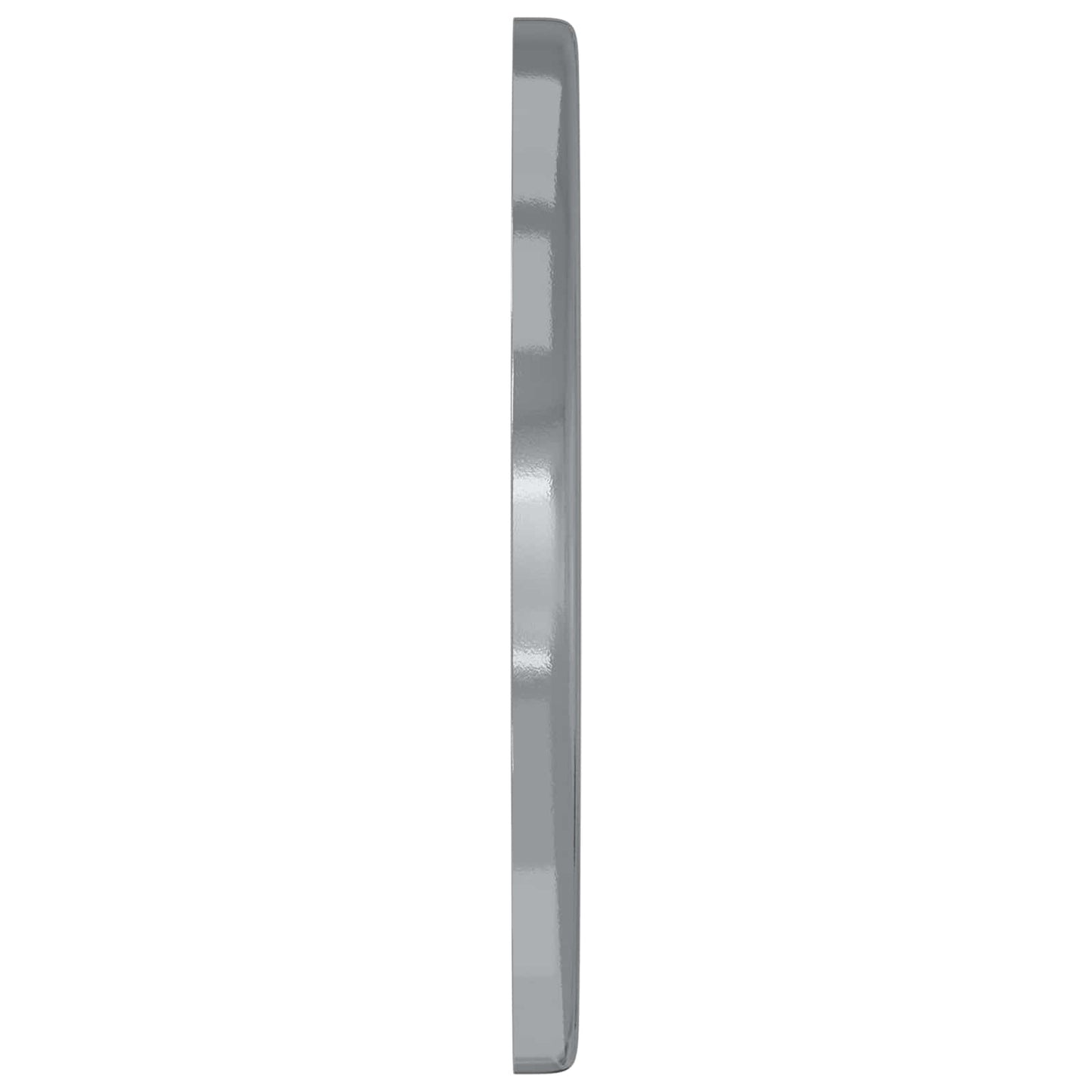 Skiver 12 pcs Sølv 12 x 12 x 1,2 cm Jern