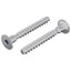 Skrue 2 pcs Zinkbelagt 5 x 40 mm Jern