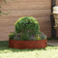 Plante ring 5 stk. Rusten 80 x 80 x 20 cm Cortenstål