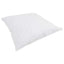 2-i-1 Dyne med pude 2 pcs Hvid Dunfjer