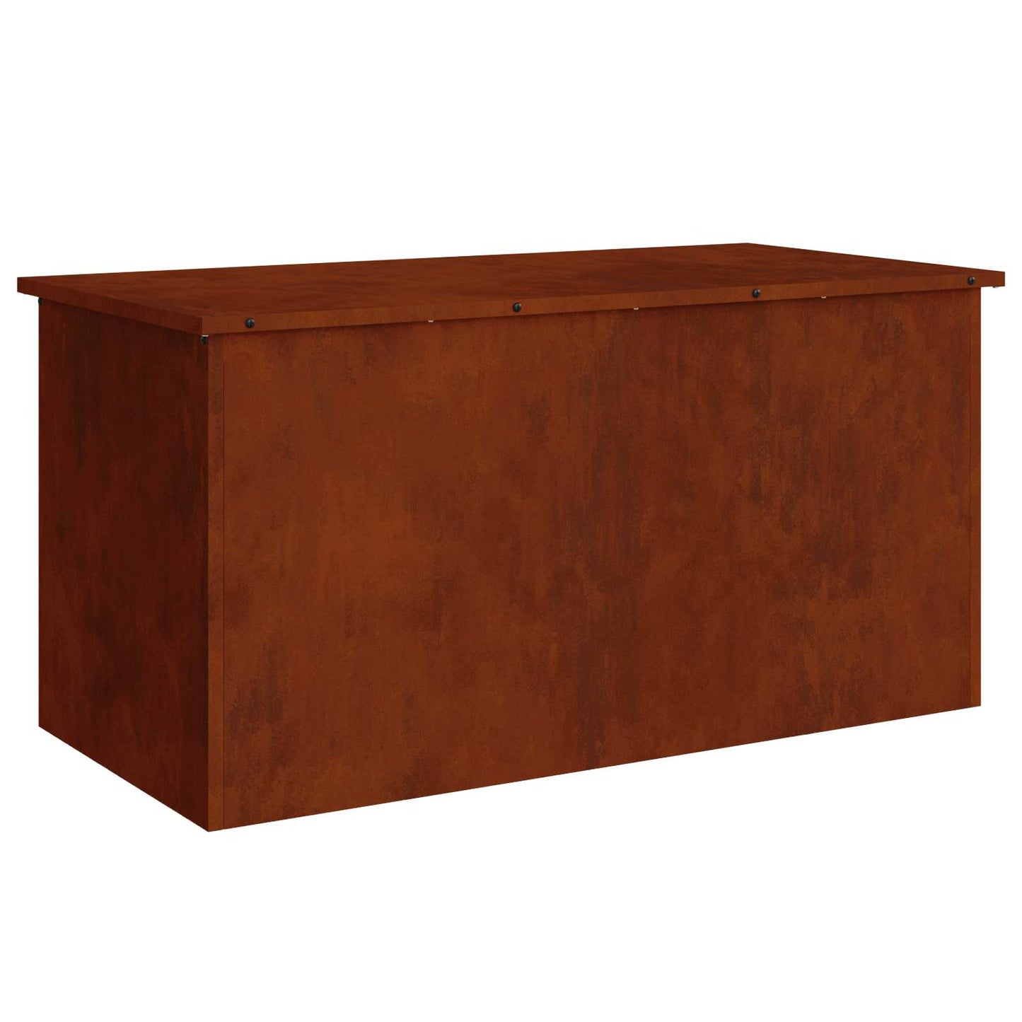 Have opbevaringspude kasse Stål 100 x 50,5 x 50 cm 220 Rusten
