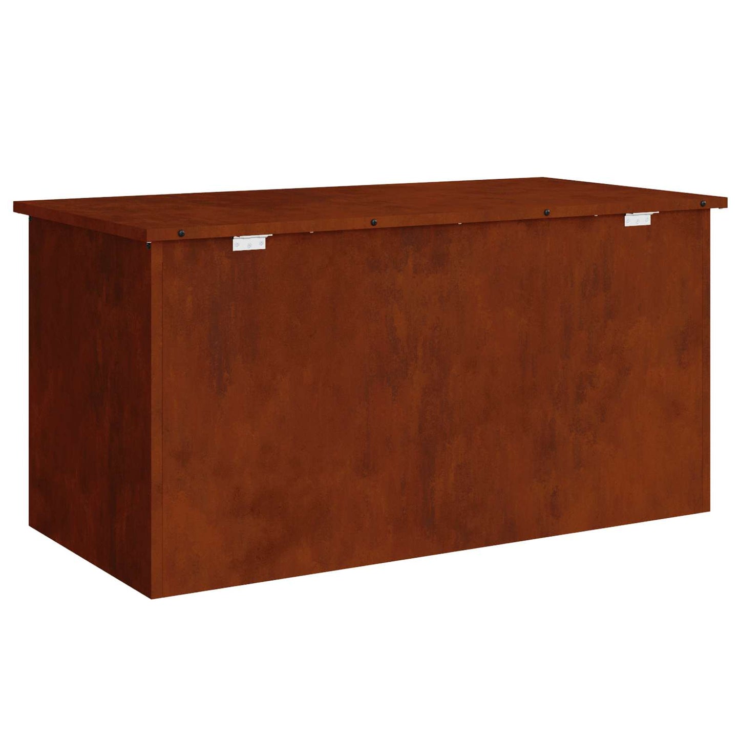 Have opbevaringspude kasse Stål 100 x 50,5 x 50 cm 220 Rusten
