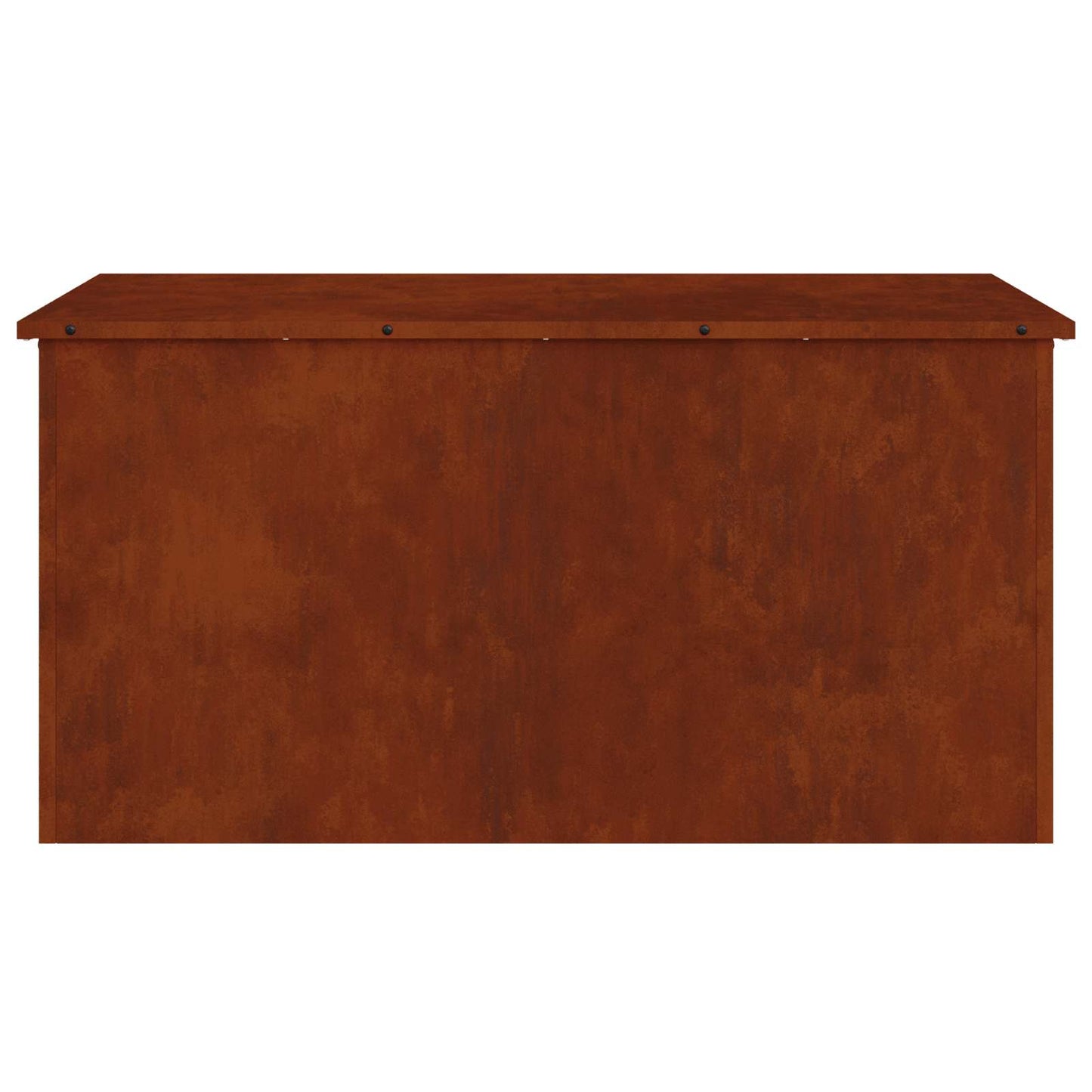 Have opbevaringspude kasse Stål 100 x 50,5 x 50 cm 220 Rusten