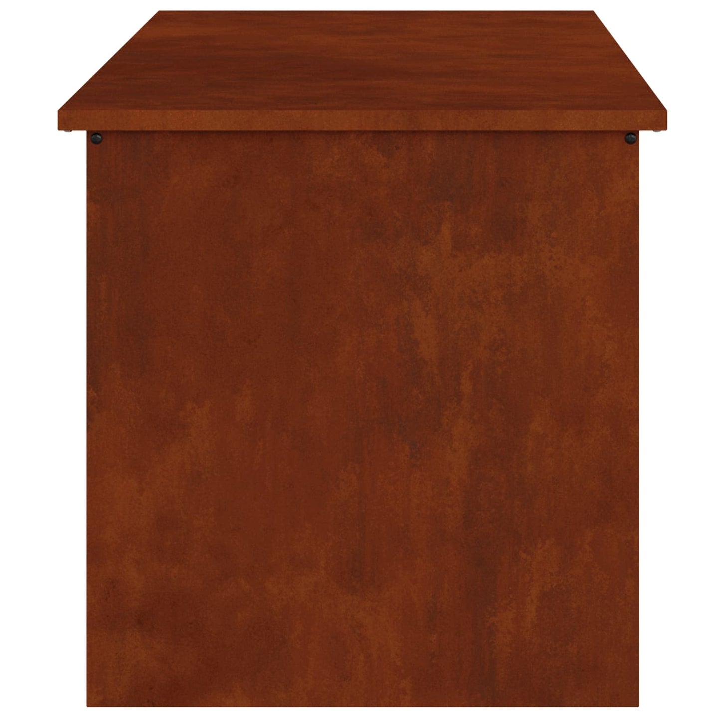 Have opbevaringspude kasse Stål 100 x 50,5 x 50 cm 220 Rusten