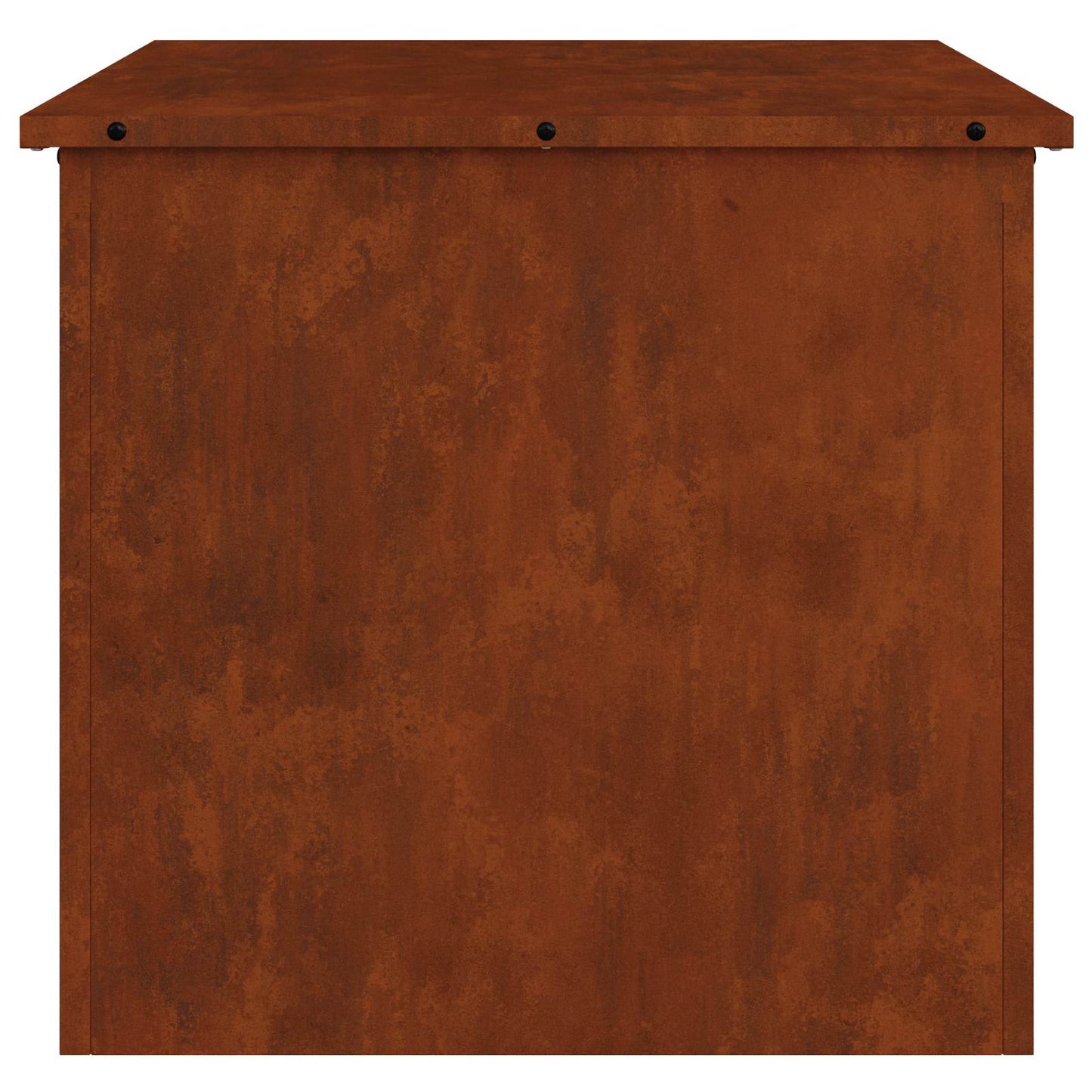 Have opbevaringspude kasse Stål 55 x 50,5 x 50 cm 220 Rusten