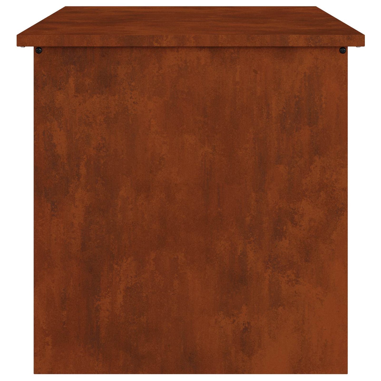 Have opbevaringspude kasse Stål 55 x 50,5 x 50 cm 220 Rusten