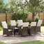 Have Spisebordssæt med pude 7 pcs Brun polyrattan