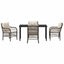 Have Spisebordssæt 5 stk. Brun polyrattan