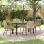 Have Spisebordssæt 5 stk. Brun polyrattan