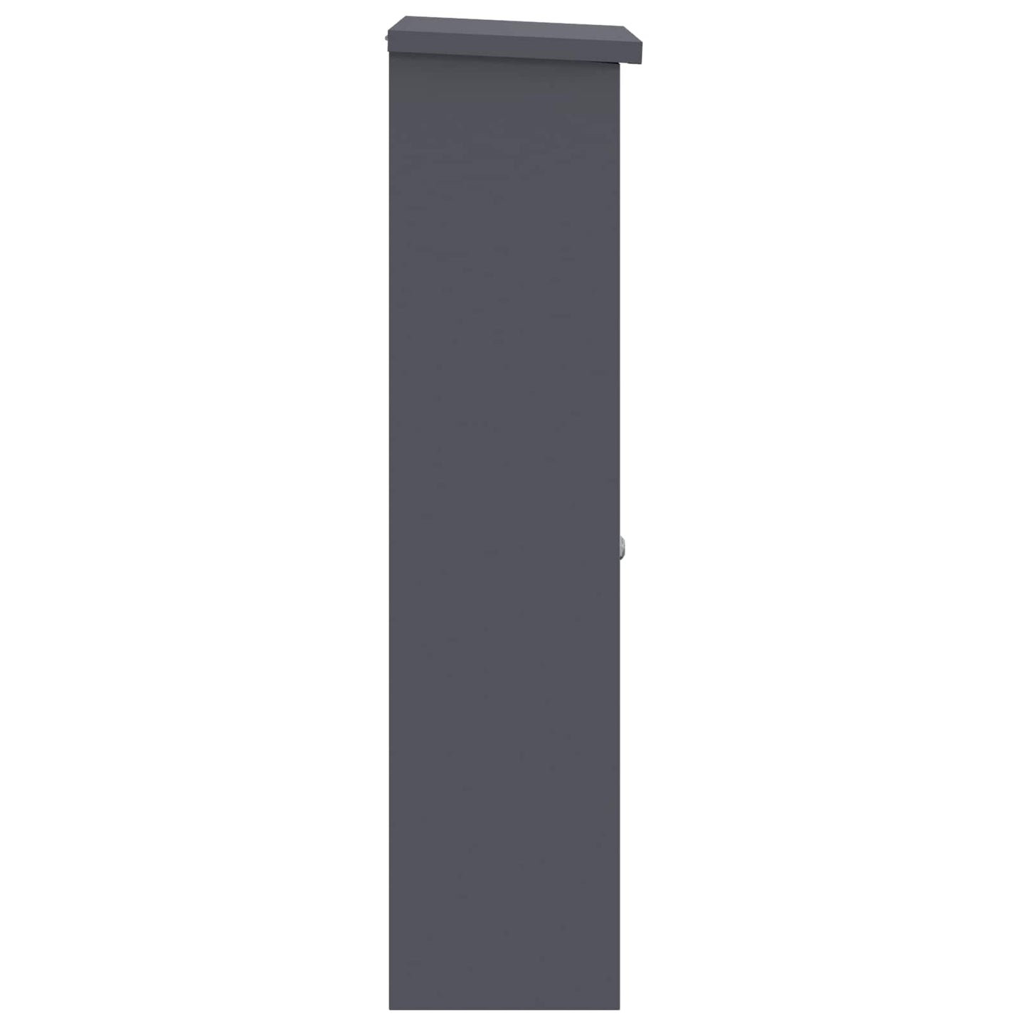 Pakke drop boks med dør Antracit 44,5 x 29 x 110,5 cm Stål