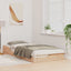 Sengestel Brun 100 x 210 cm Massiv fyrretræ