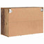 Sko skab Gammelt træ 77,5 x 30 x 51 cm Konstrueret træ