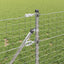Hegnspæl 2 pcs Sølv 120 cm Pulverlakeret Stål