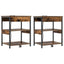 Natskab 2 pcs Røget eg 41 x 31 x 51 cm Konstrueret træ