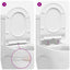 Toilet sæde Indstillelig Hvid 50 x 36,5 x 5 cm Polypropylen
