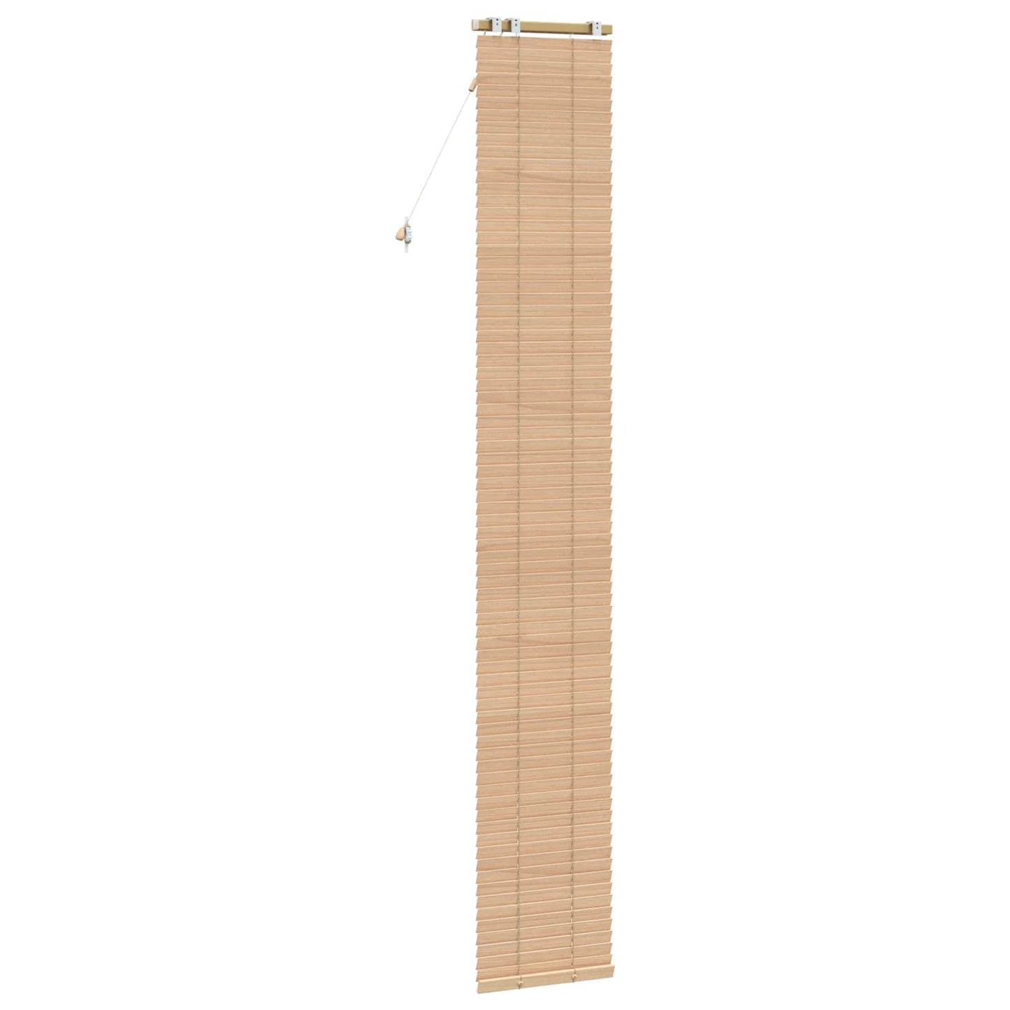 Persienner Eg Look 50 x 250 cm 35 mm Massivt Paulownia Træ