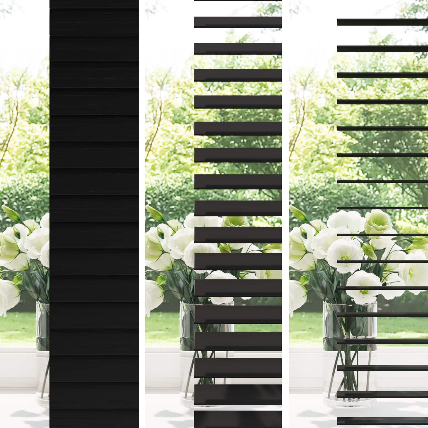 Persienner Sort 160 x 160 cm 35 mm Massivt Paulownia Træ