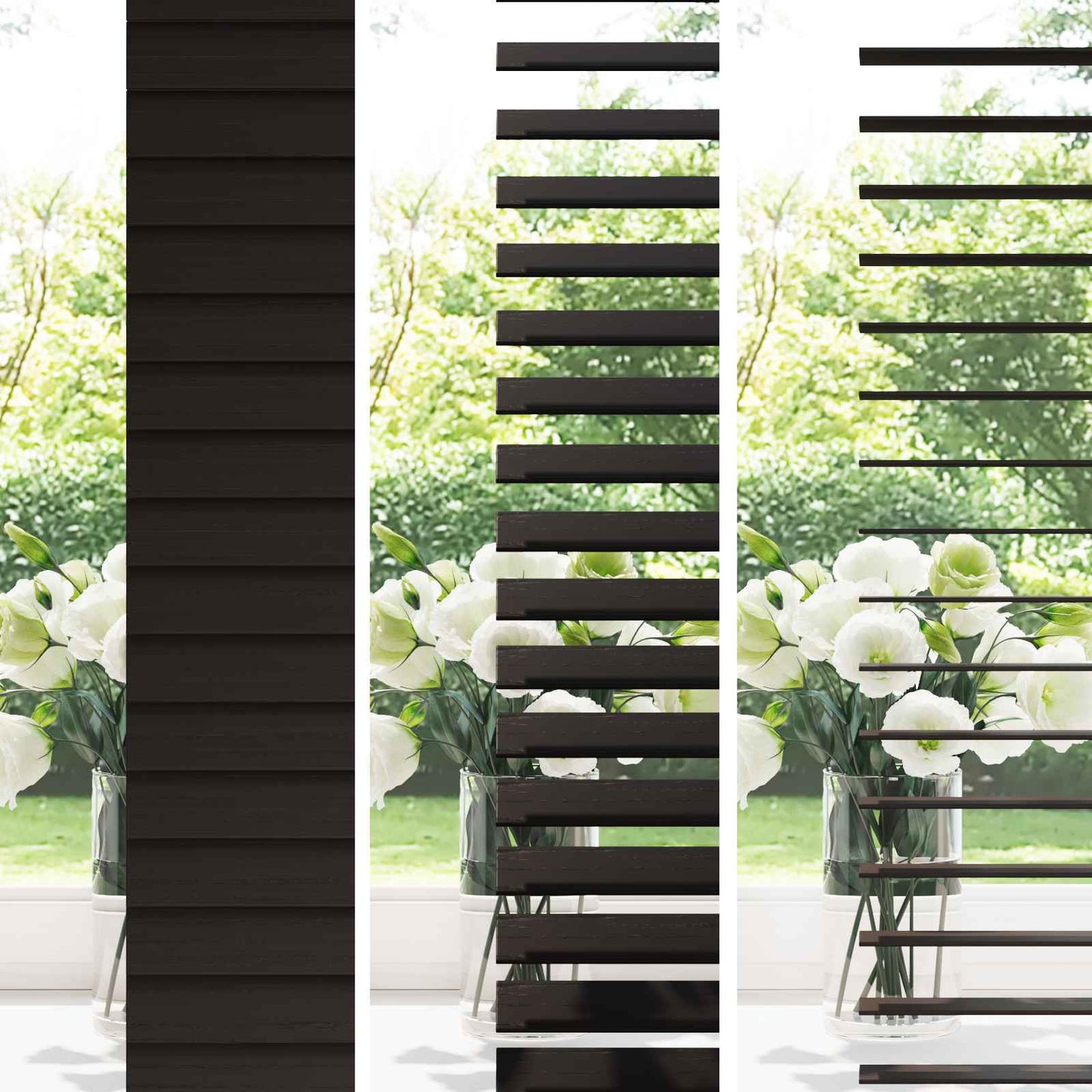 Persienner Mørk Brun 145 x 160 cm 35 mm Massivt Paulownia Træ