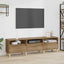 TV-skab 150 x 30 x 45 cm Artisan Egetræ Konstrueret træ