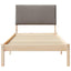 Sengestel Brun og taupe 100 x 200 cm Massivt fyrretræ