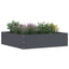 Plænekant 6 pcs Antracit 50 x 50 x 13 cm Stål