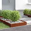 Plænekant 6 pcs Rusten 60 x 60 x 13 cm Cortenstål