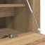 Sko skab 100 x 35 x 38 cm Konstrueret træ artisan eg