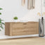 Sko skab 100 x 35 x 38 cm Konstrueret træ artisan eg