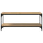 TV-skab 2 niveauer 100x33x41cm Ingeniørt træ og jern