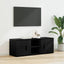 TV-skab Sort eg 100 x 31,5 x 35 cm Konstrueret træ
