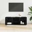TV-skab Sort eg 100 x 31,5 x 35 cm Konstrueret træ