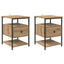Natskab 2 pcs Artisan Egetræ 40 x 42 x 56 cm Konstrueret træ