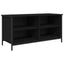 TV-skab Sort eg 100 x 40 x 50 cm Konstrueret træ