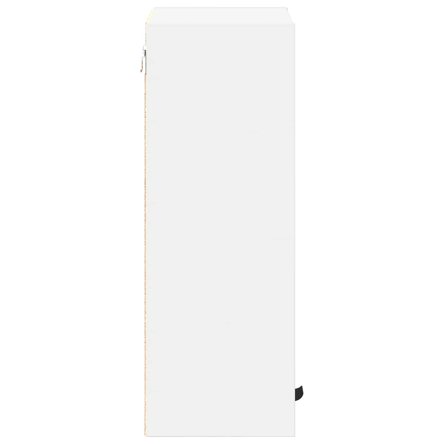Badeværelsesskab Hvid 39 x 23,5 x 65 cm Konstrueret træ, Metal