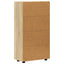 Sideboard FLORIN Sonoma eg 55,5 x 29 x 100 cm Konstrueret træ