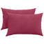 Sofapuder 2 pcs Vinrød 60 x 40 cm Velourstof