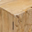 Sideboard 53 x 30 x 65 cm Massivt Mango Træ og Ingeniørtræ