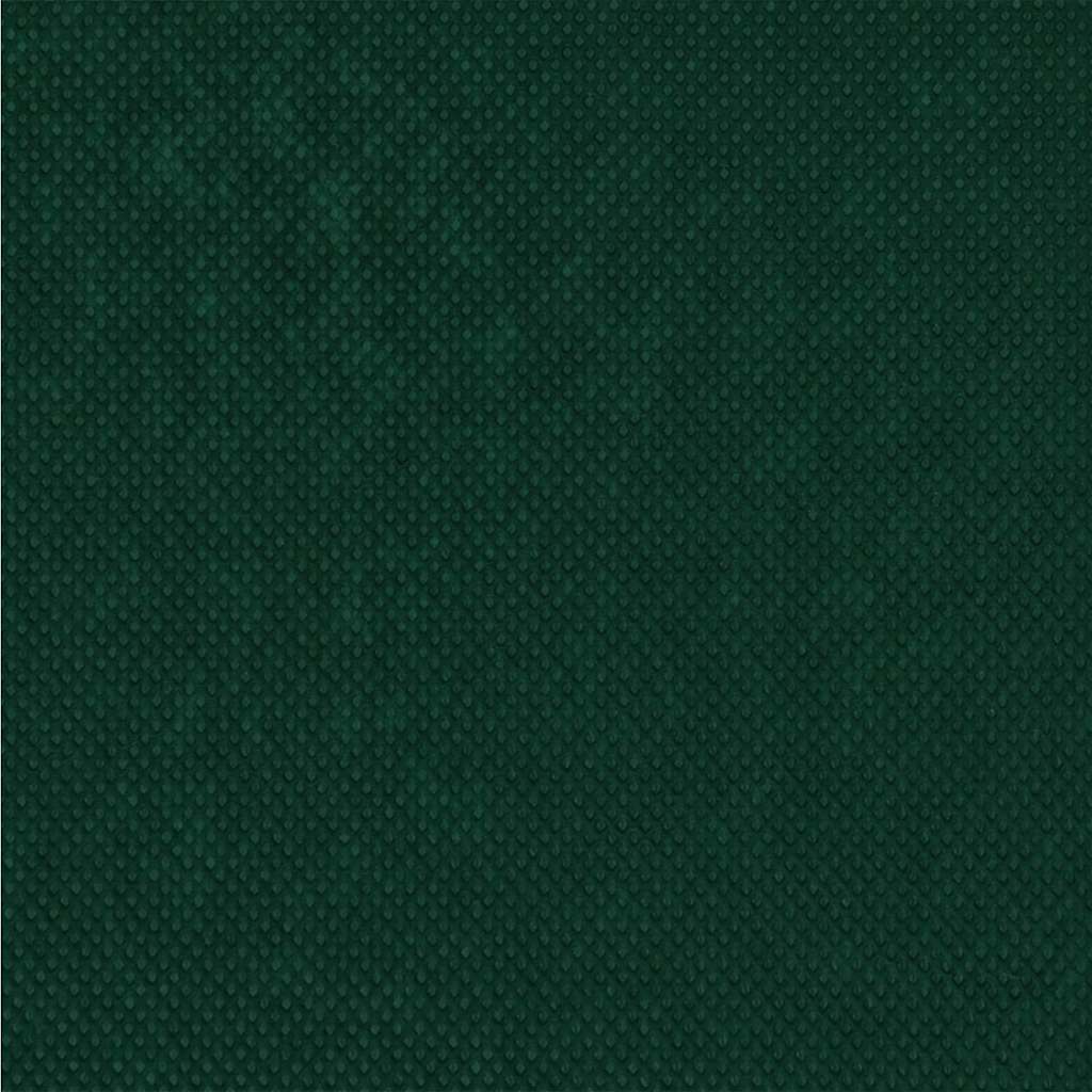 Frostbeskyttelsesplante fleece Grøn 20 x 1,6 m Non-woven stof