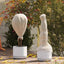 Frostbeskyttelsesplante fleece Beige 50 x 1,6 m Non-woven stof
