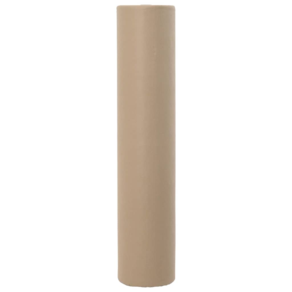 Frostbeskyttelsesplante fleece Beige 100 x 1,6 m Non-woven stof