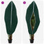 Frostbeskyttelses Plantefleece Dække 5 pcs Grøn 1,55 x 1 m