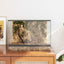 Terrarium med opbevaring Transparent 40 x 30 x 30 cm Glas