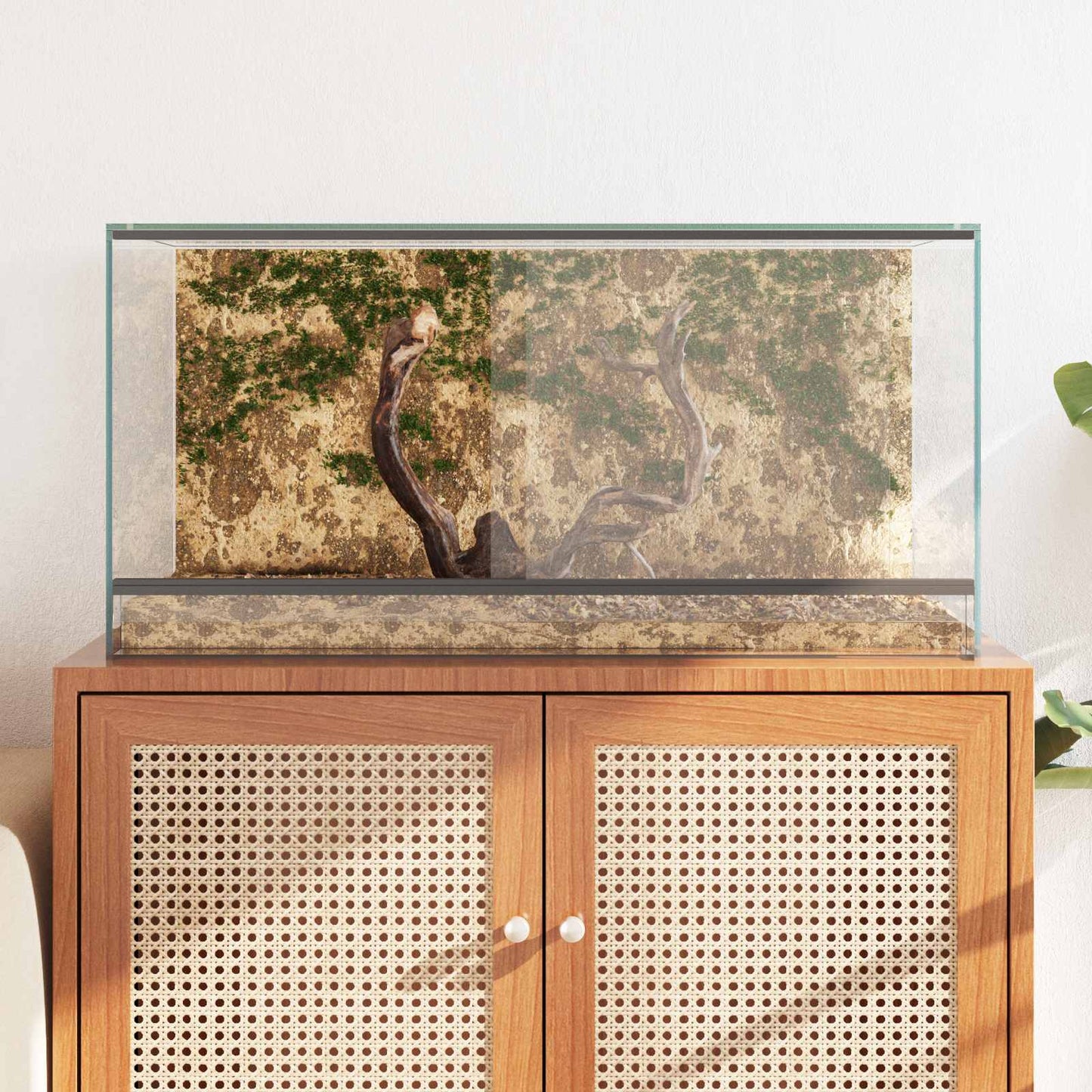 Terrarium med opbevaring Transparent 80 x 40 x 40 cm Glas