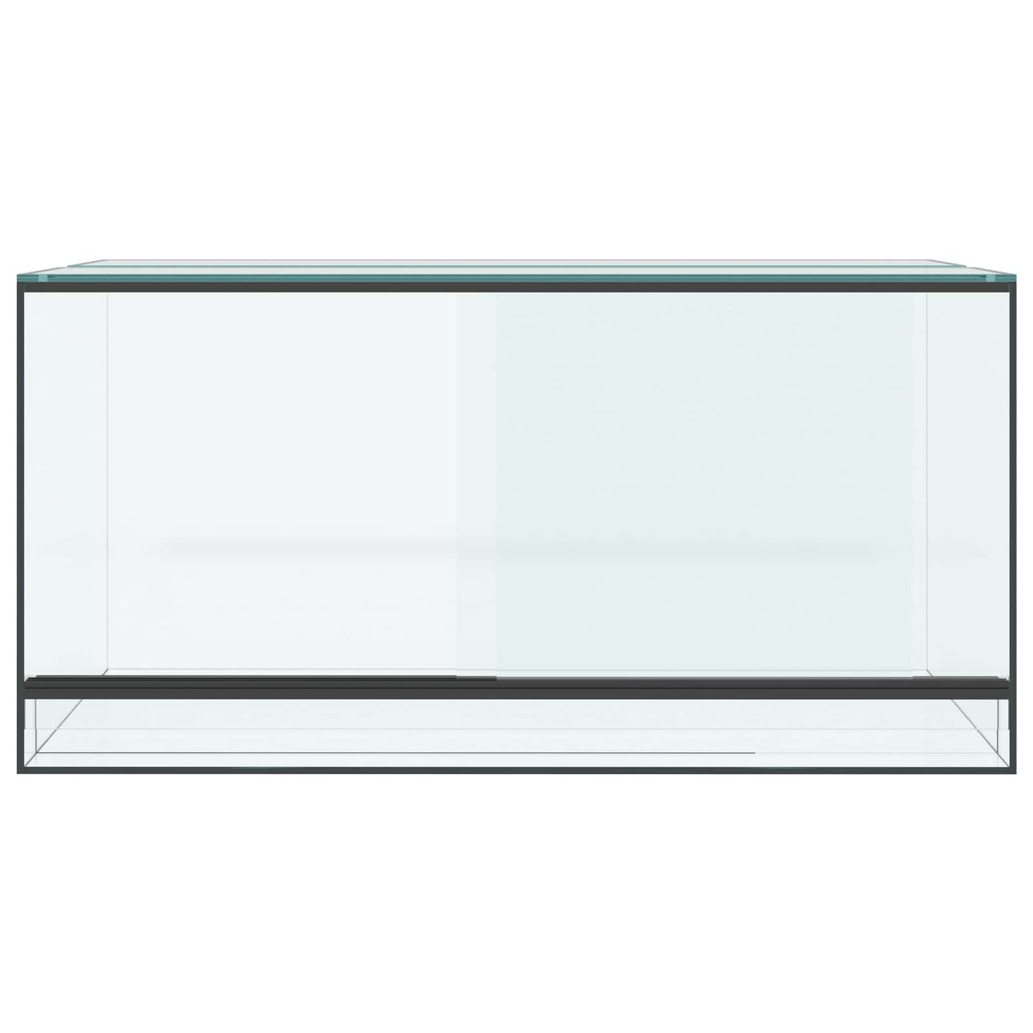Terrarium med opbevaring Transparent 80 x 40 x 40 cm Glas